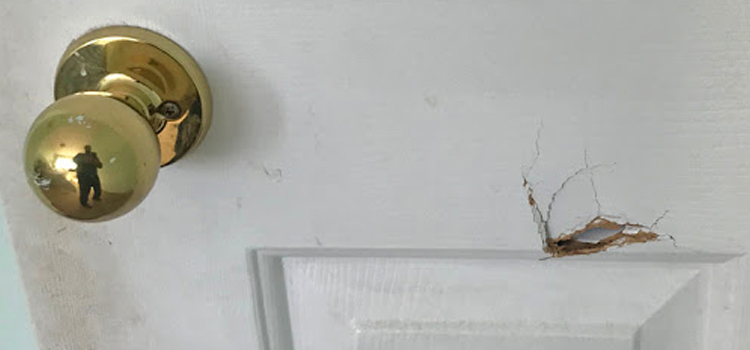 interior door hole repair Greenfield