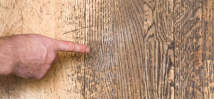 Wood Door Scratch Repair in Greenfield